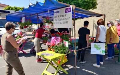 Essonne : vente de fleurs à Breuillet et Saint-Chéron